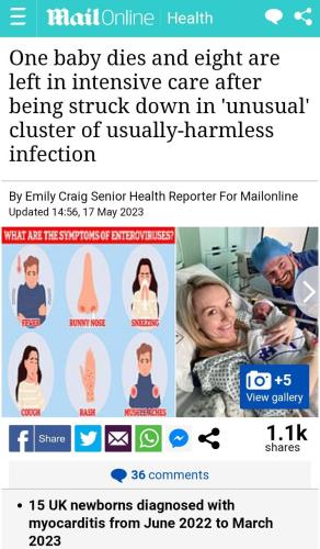 IMG_20230519_024610_419