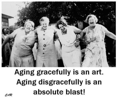 349575903_573753194845760_5210035485693440282_n