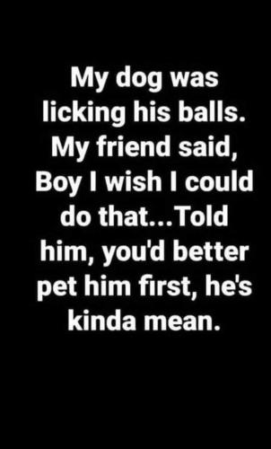 FB_IMG_1683141594731