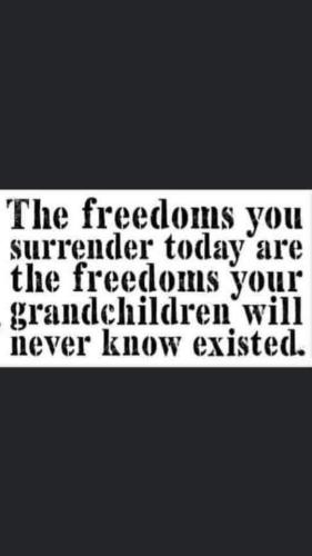 FB_IMG_1684593481149