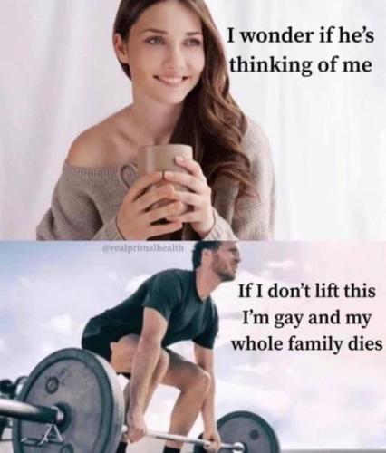 347393028_3271855529791311_5686022772767425618_n