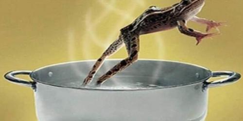 Screenshot_20230518_154408_Facebook