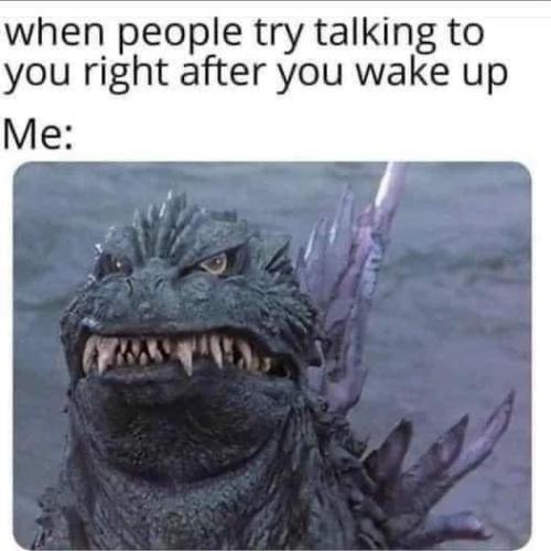 1685317689.477366