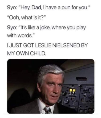 I have a pun for you