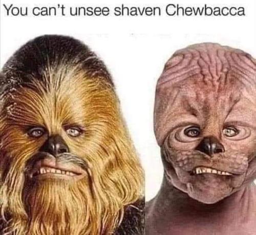 FB_IMG_1684962694159