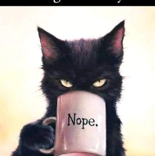 FB_IMG_1683825596407