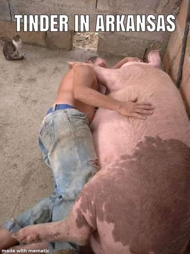 FB_IMG_1684660034665