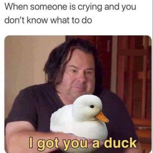 1684893936.329554
