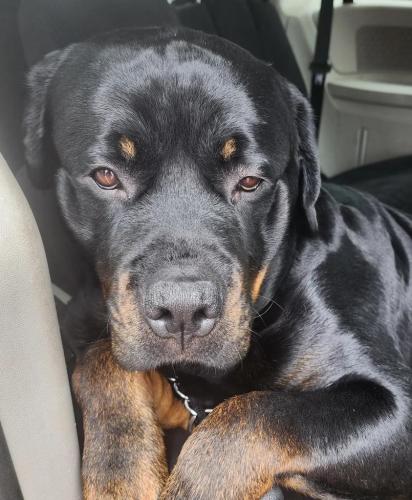 b2d3915a-10ac-40e5-bee5-602dfe320a08