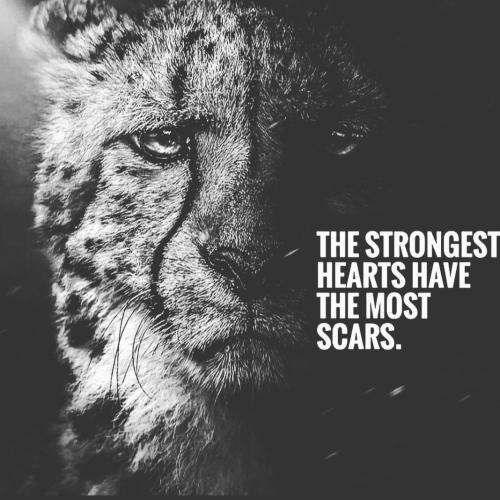 IMG_20230518_053105_305