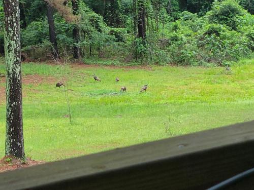 01816e56-f425-4bc4-a2b7-af4d92a94958