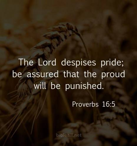 IMG_20230528_160935_472