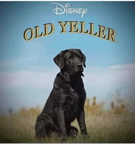 343002804_3111961415772706_2678570740778908094_n