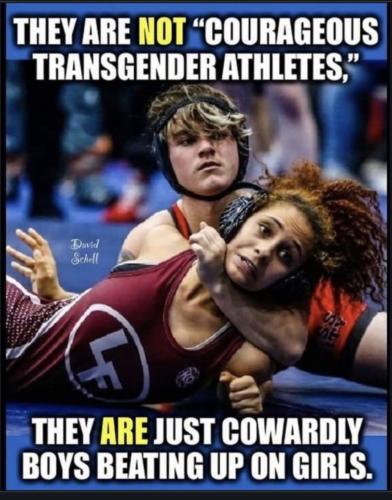 Screenshot_20230509_133453_Chrome