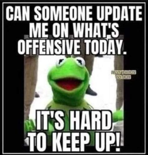 FB_IMG_1685111423041