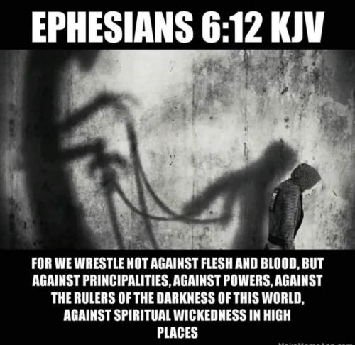 d0969003-4d00-4c2a-a1bc-9f9a25c65ec0