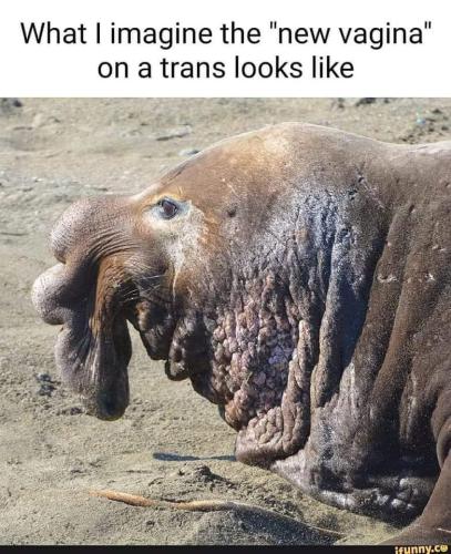 FB_IMG_1683819622903