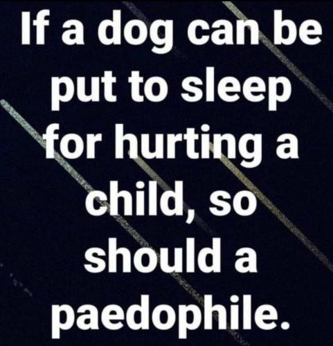 pedo sleep g