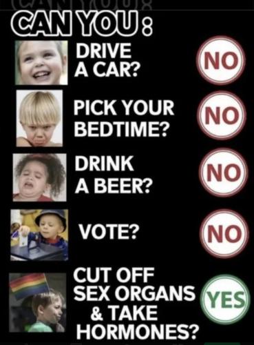 Screenshot_20230513_164053_Chrome