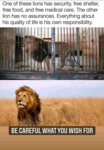 FB_IMG_1683035983776