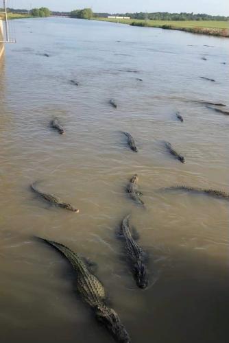 FB_IMG_1684592593799