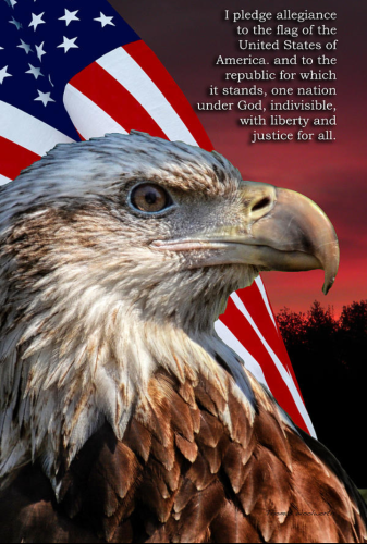 Screenshot_20230531-083147~2