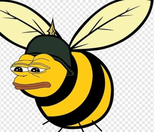 IMG_20230513_153909_498