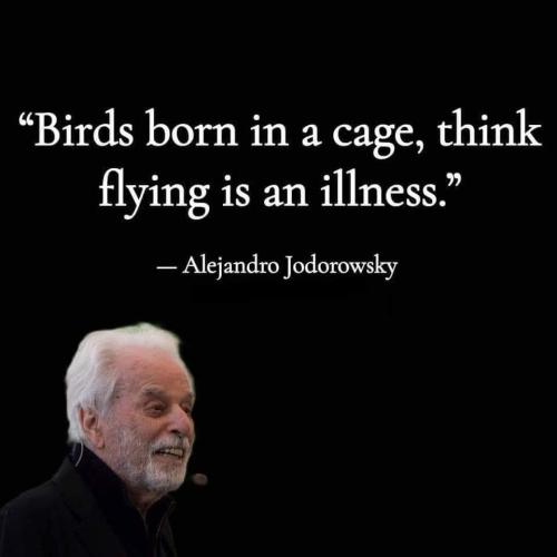 1684410612.9748259