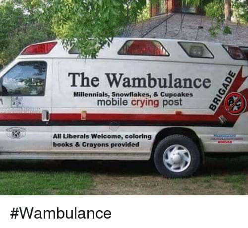 FB_IMG_1683231433199