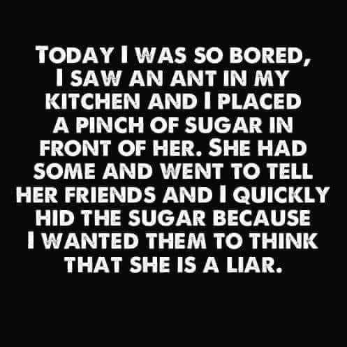 FB_IMG_1684853746802