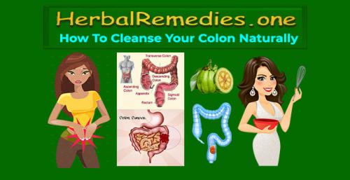 Herbalremedies.one - How to Cleanse Your Colonl