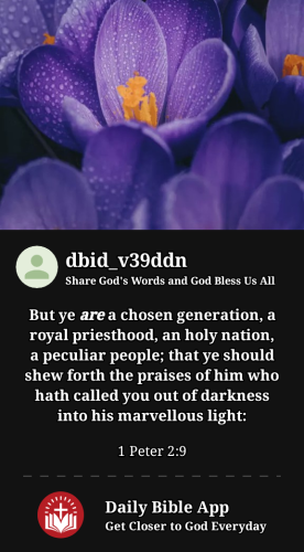 2023-05-281685308387301