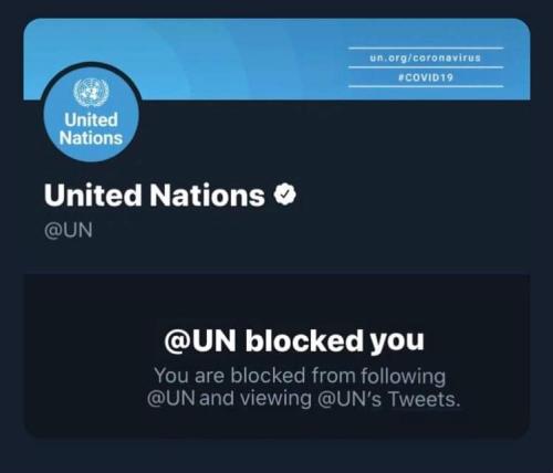 FB_IMG_1683835898895