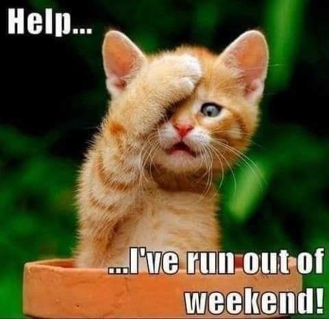 344022879_156692010693994_9075999750584042978_n