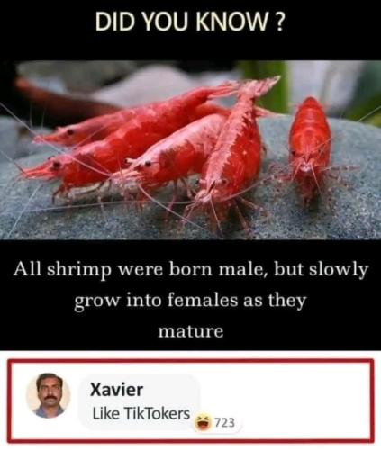 14:13:47 GMT-0400 (EDT)