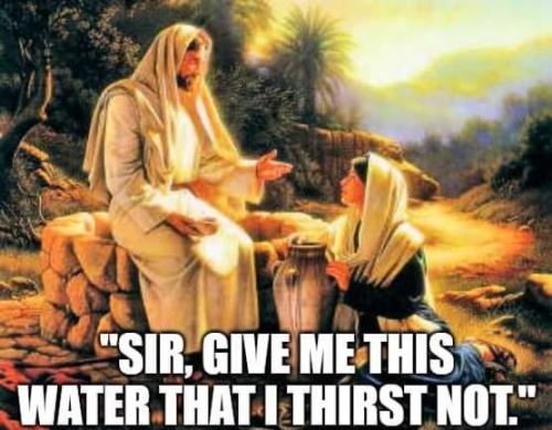 50309f08-db31-4680-a264-db8304f713f6