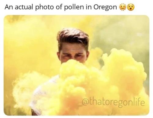 349007068_238634608789589_1953344697927817038_n