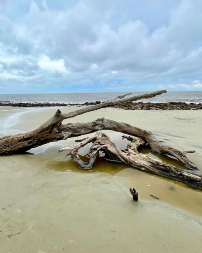1eed7cd6-5ba0-471b-9cc0-e38e9460ef3f