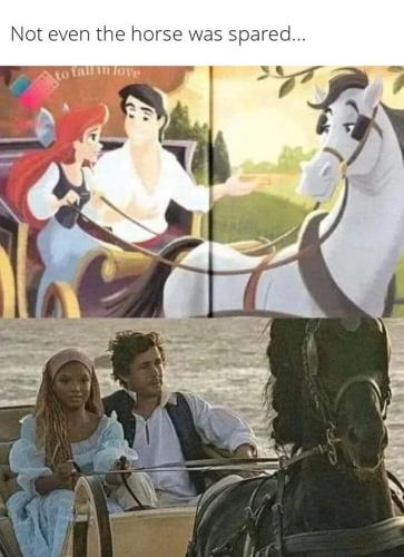 FB_IMG_1684125383987