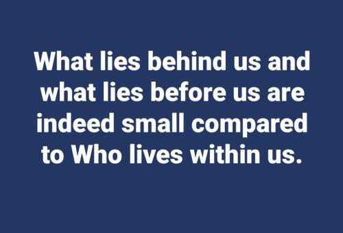 85e9c6d8-25f8-4108-8186-0ed544b198e1
