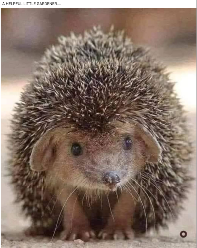 Screenshot_2023-05-24-22-17-40_kindlephoto-849228570