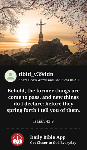 2023-05-061683358258234