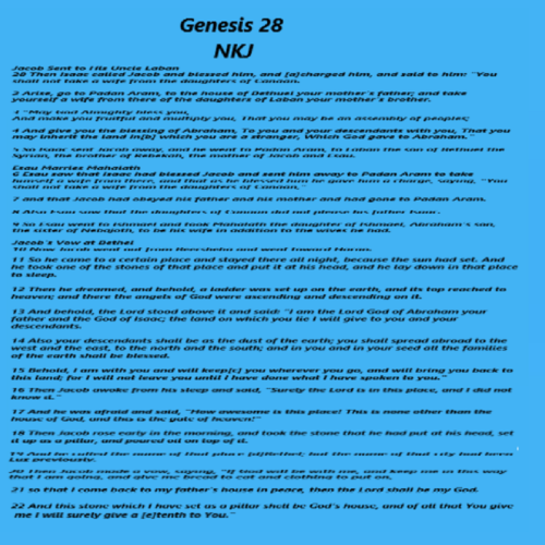 Genesis 28 JACOBS PILLOW