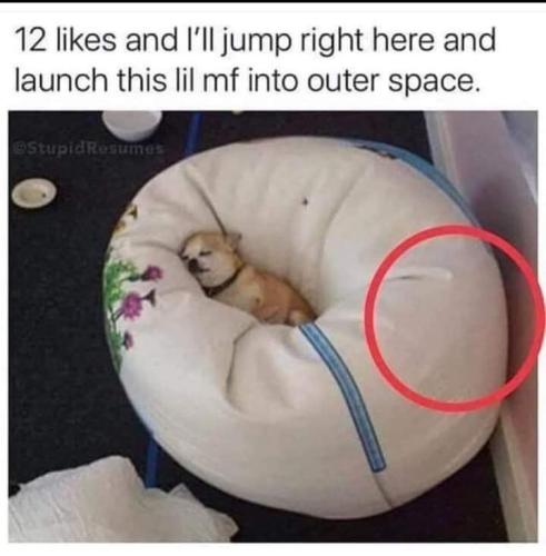 FB_IMG_1683391538197