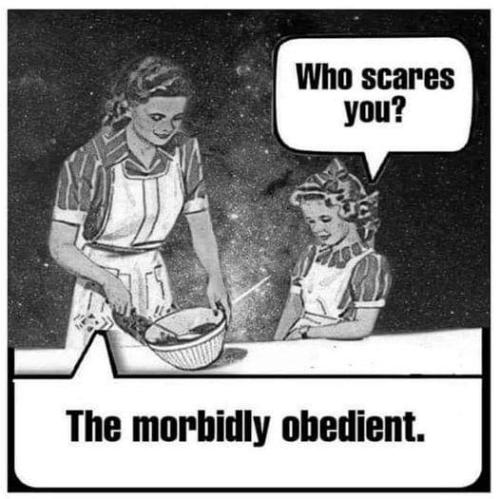 FB_IMG_1684536806364