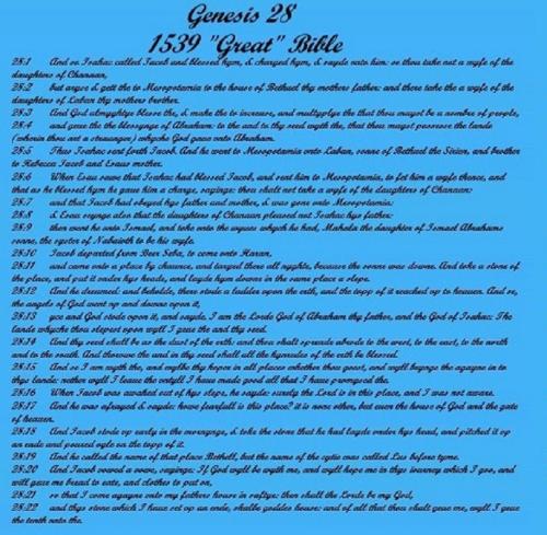 GENESIS 28 JACOBS PILLOW 1