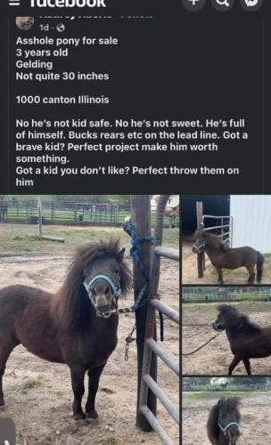 FB_IMG_1683057436590