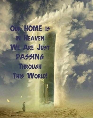 6c75ed41-44c9-428c-8209-f584ba10a8d9