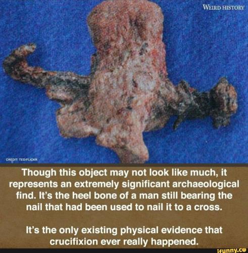 b03346ab-67e7-415d-89dd-36de6700bf34