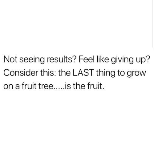 1683937306.717159
